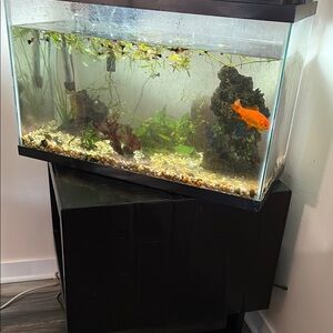 Aquarium Fish Tank with Black Stand